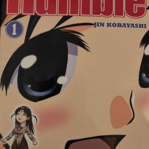 Scool Rumble – Tome 1