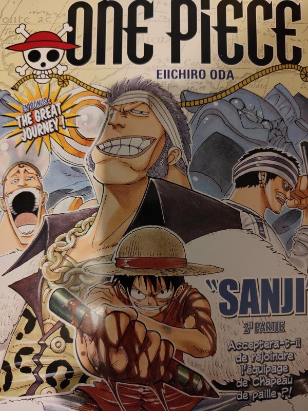 One Piece - Les 4 Tomes Grands Formats avec 4 Posters et des Croquis Exclusifs – Image 3