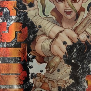 Dr Stone – Tome 1