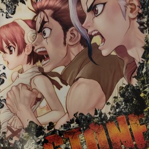 Dr Stone – Tome 2