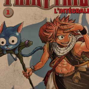 Fairytail – Tome 1 – Grand Format en Couleurs avec Poster et Croquis Exclusifs